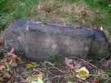 image of grave number 484265